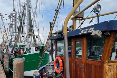 Geschichte des Nordsee-Heilbads Büsum