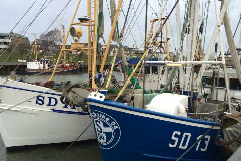 Fischkutter im Büsumer Hafen