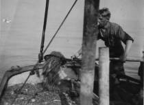 Fischer Johann Zimmermann beim Krabbensortieren