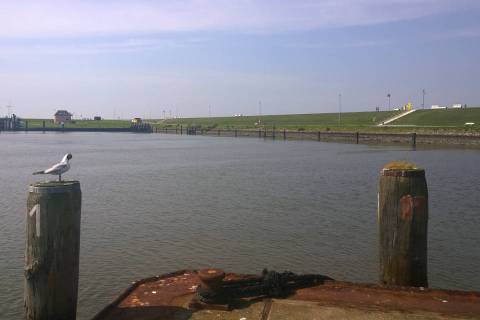 Hafen Büsum