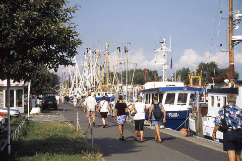 Kutter im Hafenbecken in Büsum