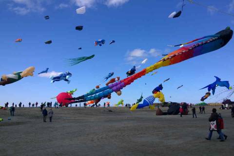 Lenkdrachen und Mottodrachen inklusive Flugshow zu Ostern 2019