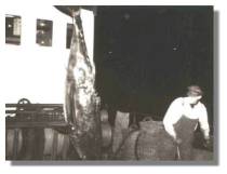 Thunfische werden bis zu 3m lang