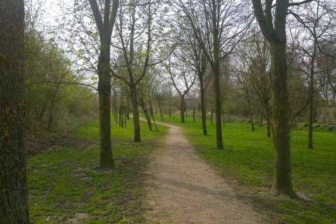 Weg durch den Hochzeitswald