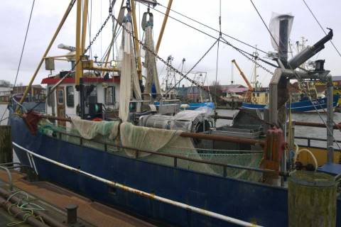 hafen_buesum_kutter_11.jpg