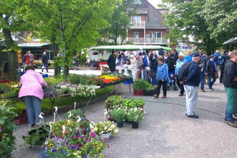 Wochenmarkt Büsum