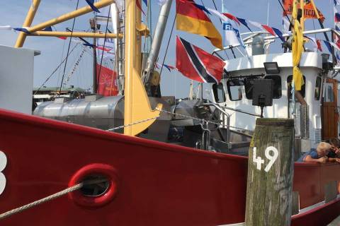 Krabbenkutter geschmückt vor der Kutterregatta in Büsum