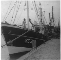 SC 36 Seefalke