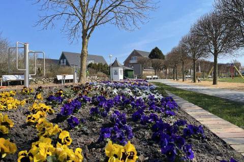 aufbluehen_buesum_april_2021_4.jpg