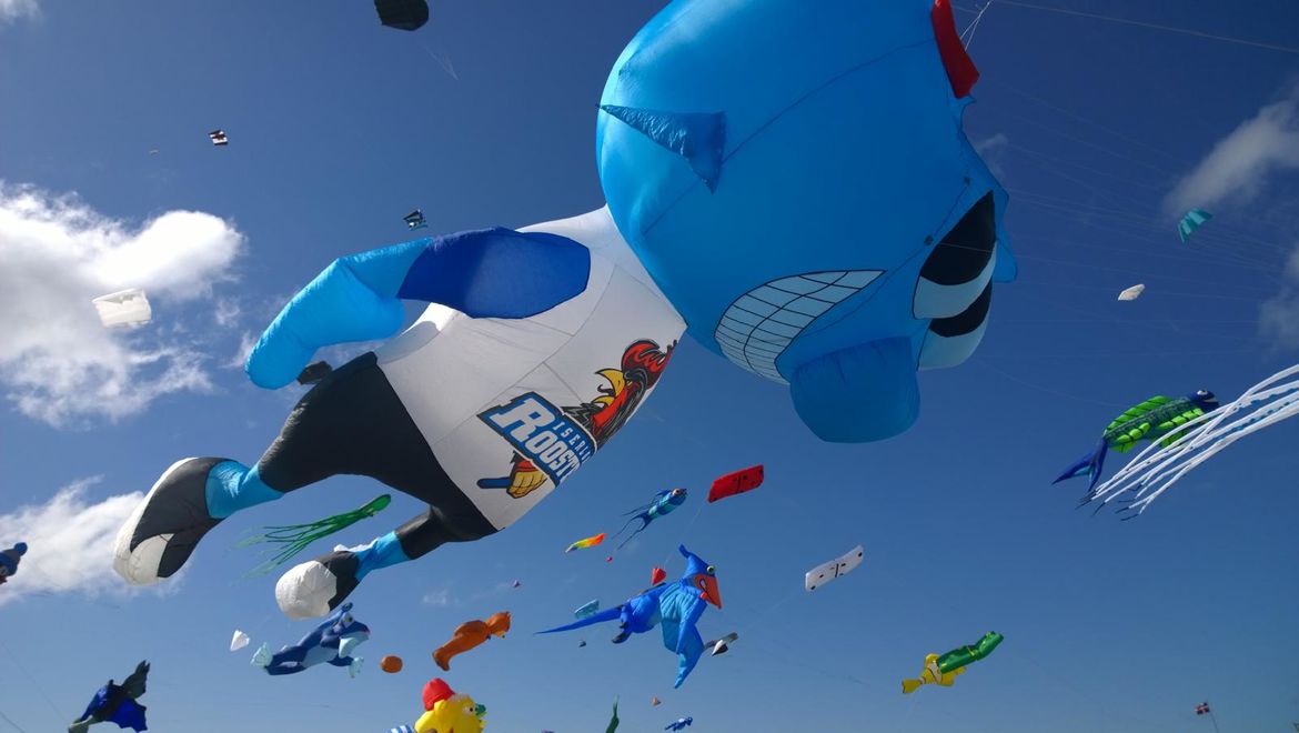 Drachensteigen lassen auf der Watt'n Insel