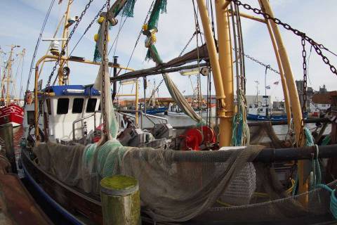 Krabbenkutter im Büsumer Hafen