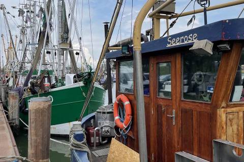 Fischkutter im Büsumer Hafen