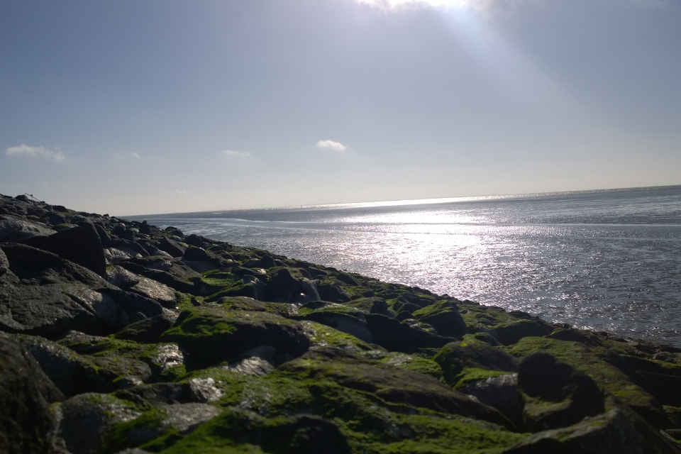 Nachmittagssonne mit Blick auf Watt bei Ebbe vor Watt'n Insel.jpg